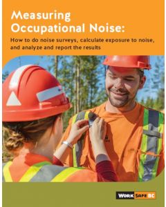 Measuring Occupational Noise: How to do noise surveys, calculate exposure to noise, and analyze and report the results