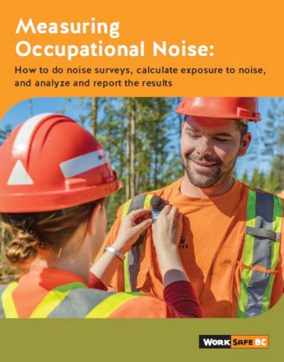 Measuring Occupational Noise: How to do noise surveys, calculate exposure to noise, and analyze and report the results