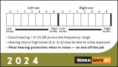 2024 Hearing Test Cards - Sold by Bundles of 100